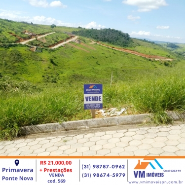 LOTE NO PRIMAVERA