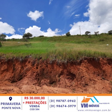 LOTE NO PRIMAVERA