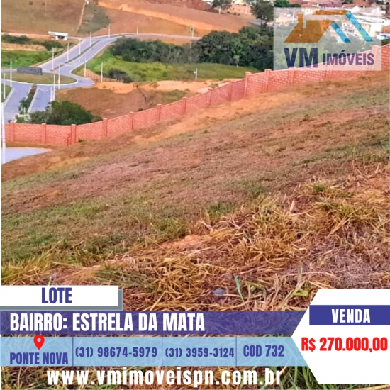 LOTE NO ESTRELA DA MATA