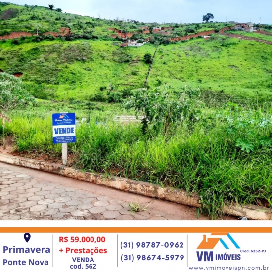 LOTE - PRIMAVERA