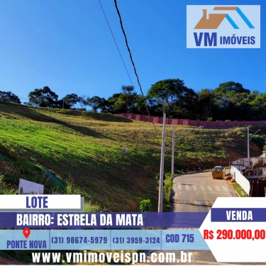 LOTE ESTRELA DA MATA