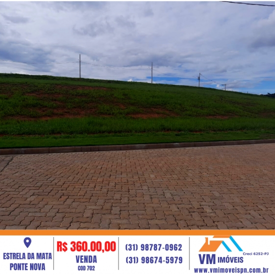 LOTE NO ESTRELA DA MATA