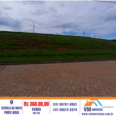 LOTE NO ESTRELA DA MATA