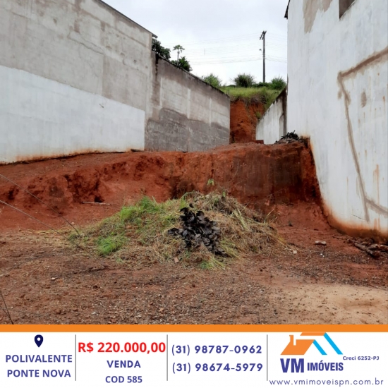LOTE NO POLIVALENTE
